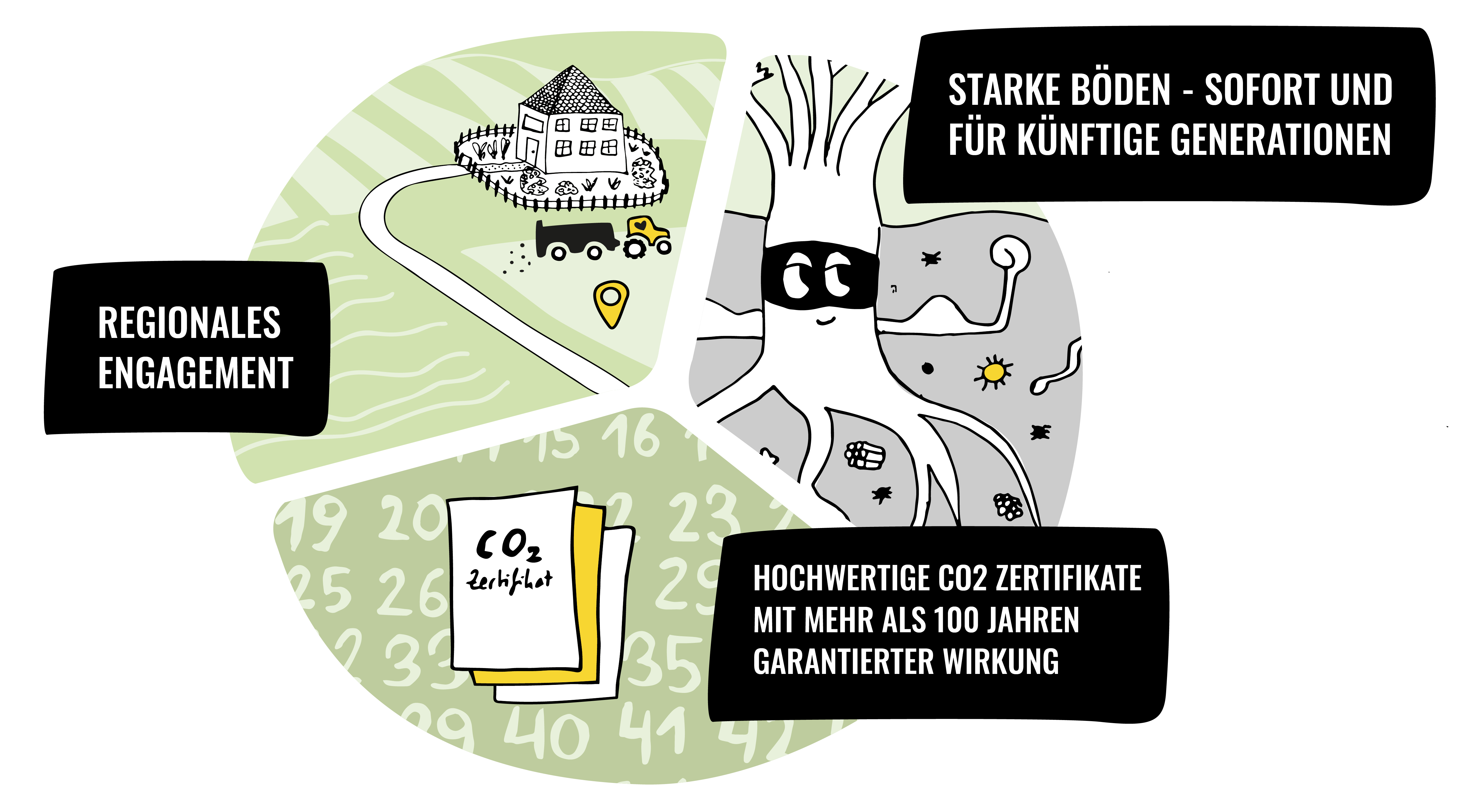 Tortendiagramm mit den Leistungen der Kohlekumpels: Regionales Engagement, Starke Böden - sofort und für künftige Generationen sowie Hochwertige CO₂ Zertifikate mit mehr als 100 Jahren garantierter Wirkung.