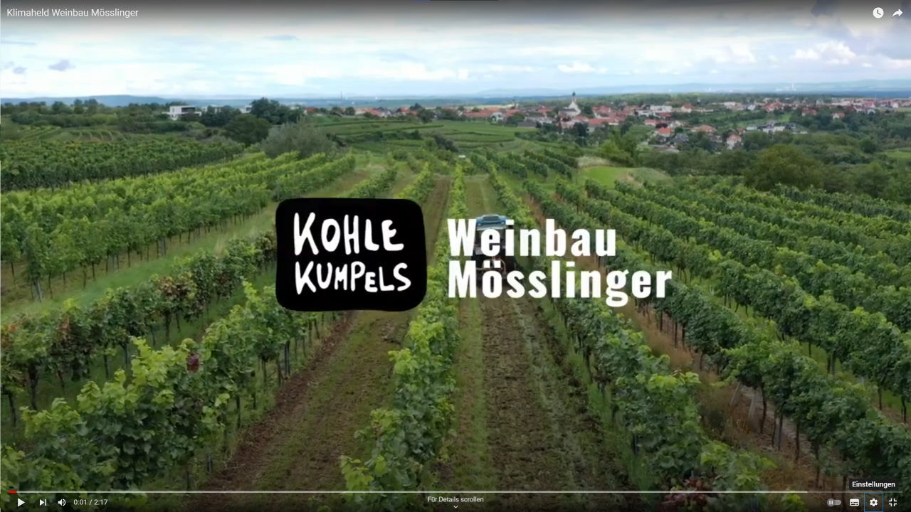 Der 1. klimapositive Wein - Familie Mösslinger & Kohlekumpels machen's möglich!